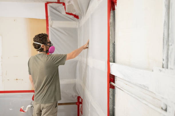 Best Attic Mold Removal  in Whitewright, TX