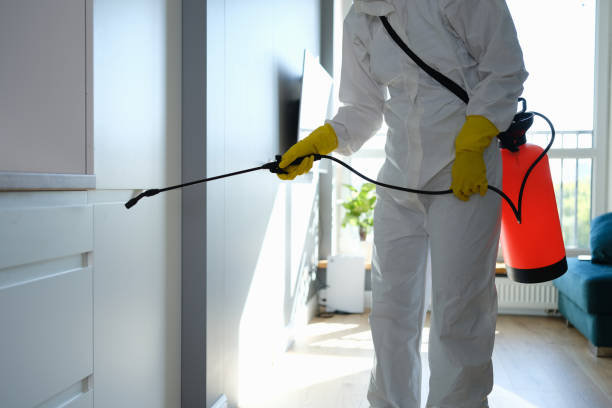 Best Airborne Mold Testing  in Whitewright, TX